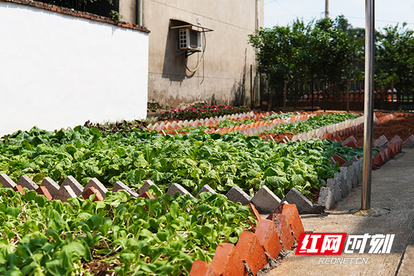 走进赫山看小康⑤｜农家院落换新颜沙岭村打造生态宜居美丽乡村