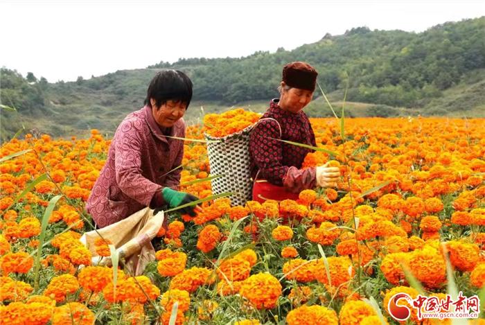 陇南礼县为什么叫秦皇故里,陇南礼县秦皇故里视频