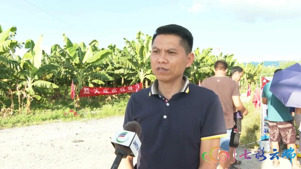 红火蚁防治方法主要有三大类,红火蚁防治方法大全视频