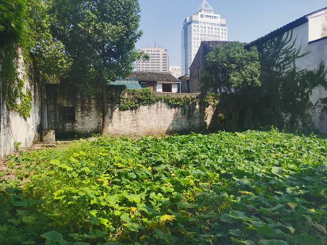 绍兴游乐场,绍兴游乐园东方山水乐园