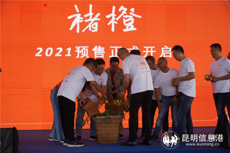 褚橙包装盒红点,褚橙包装最新消息