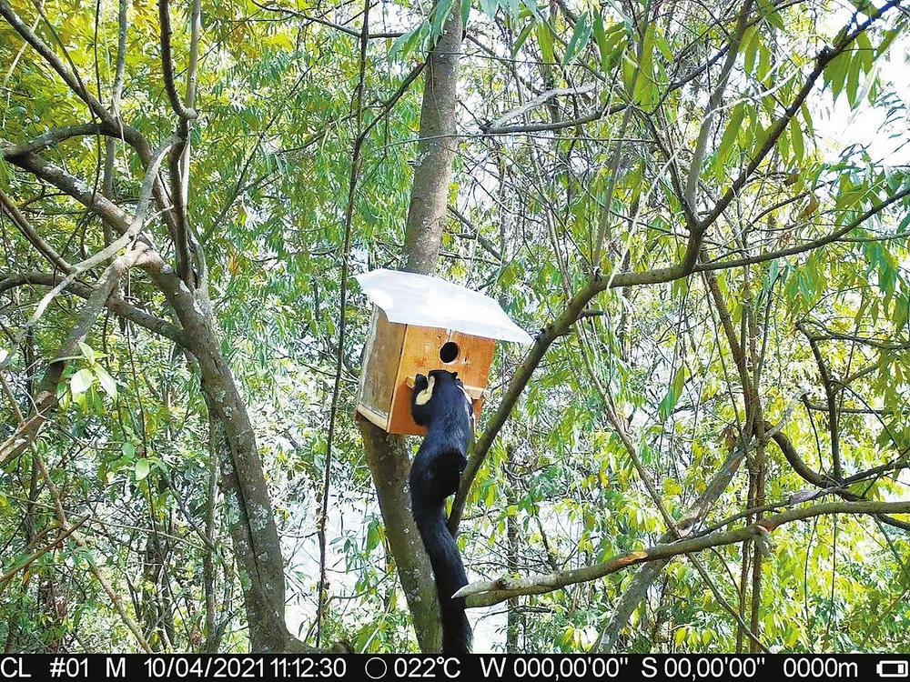 记录大自然保护野生动物,记录大自然保护生态环境