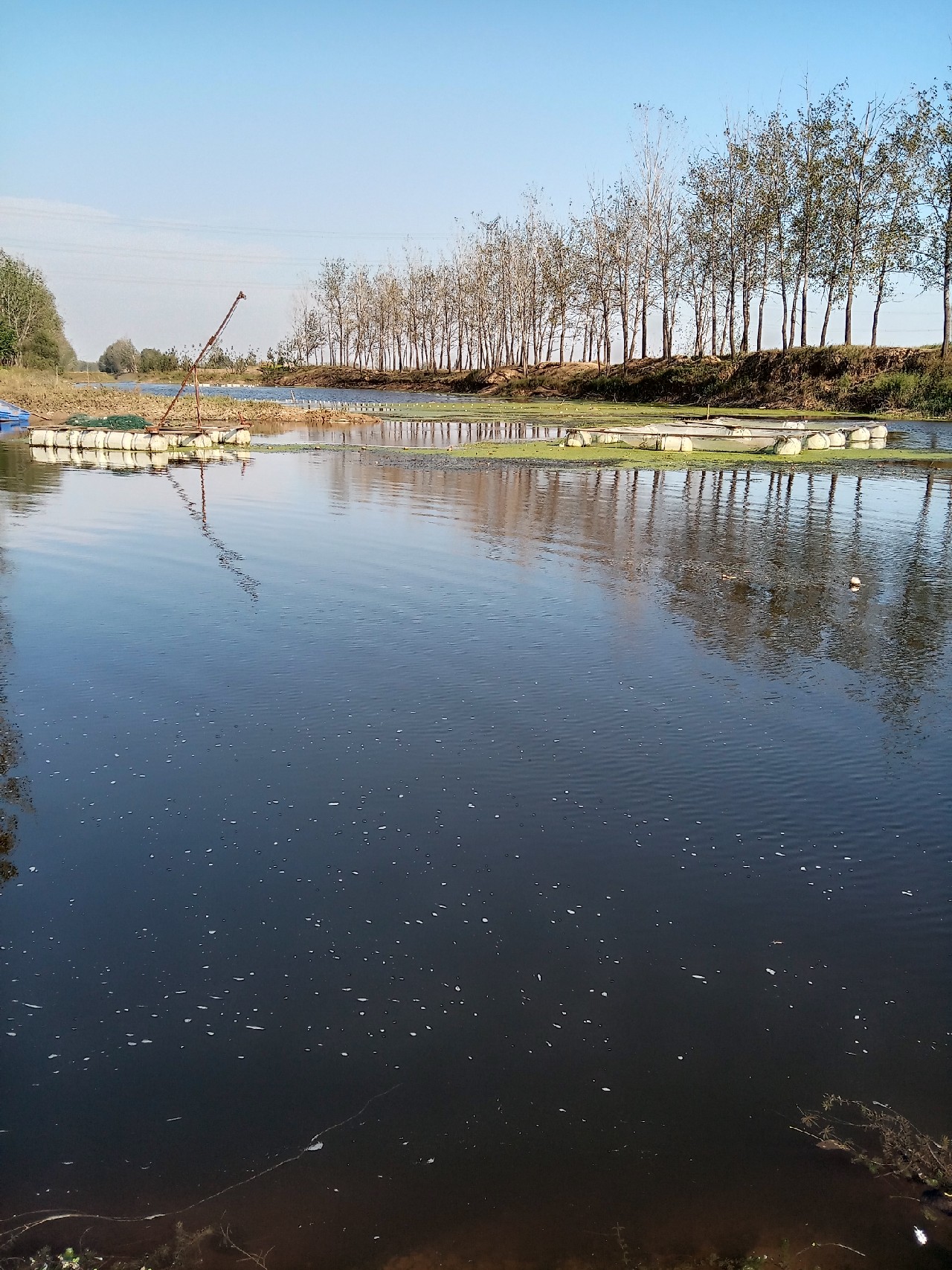 夜钓走水太厉害漂立不起来,夜钓鱼起浮到水面了怎么钓