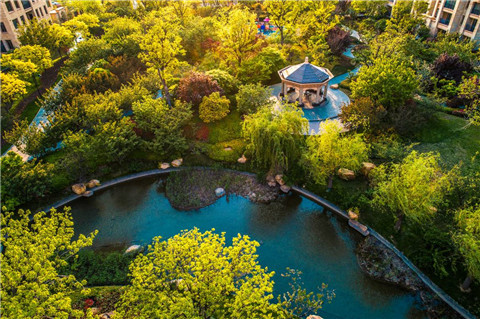 青岛高端星河湾,星河湾青岛商业