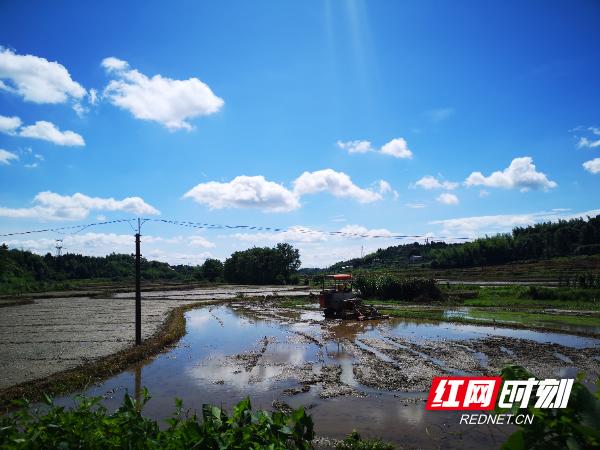 天元区：盘活集体经济闯出发展新路