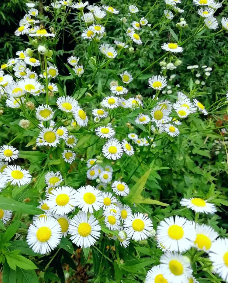 从电影《长津湖》想到的/赵顺年