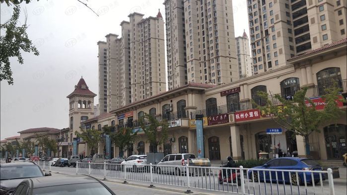 佳源双子星城值不值得买,佳源双子星城一期开盘价格