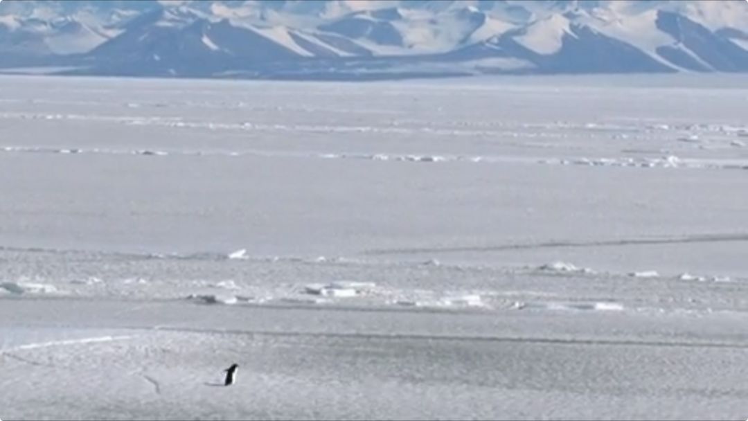 地球妈妈生病了故事,地球变暖冰川融化企鹅