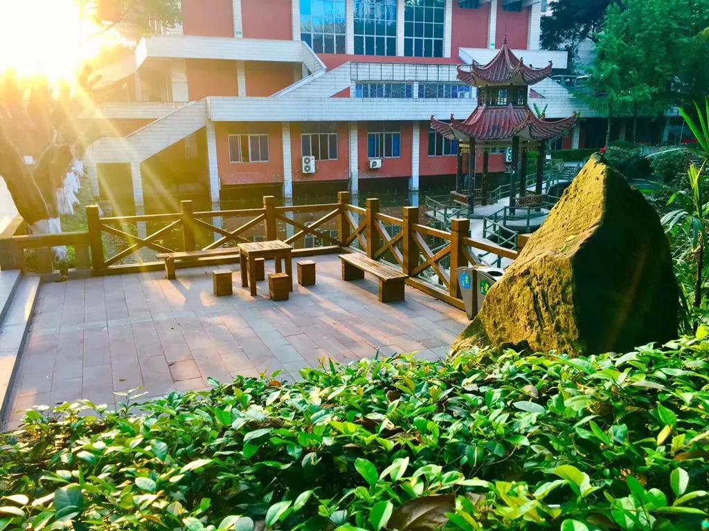 重庆一中本部到底有多强,重庆一中小升初试题及答案