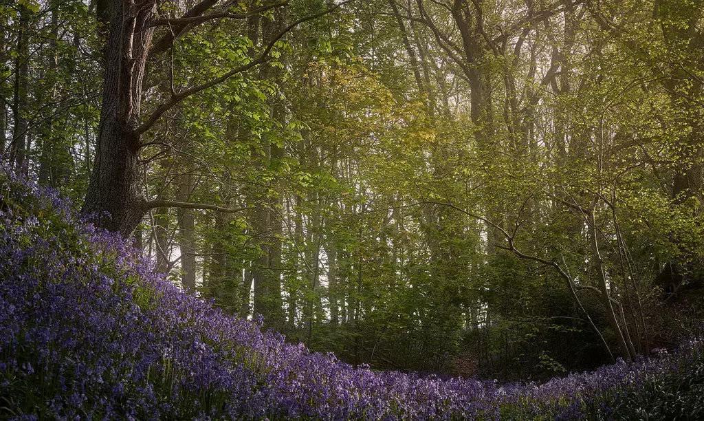 熊继柏纠正对中医的几个错误观念,熊继柏谈中医治疗