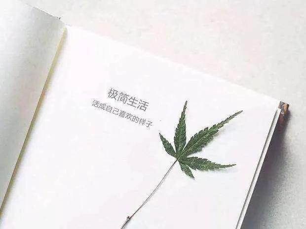 真正厉害的人都是磨练出来的,厉害的人都是怎么变得厉害的