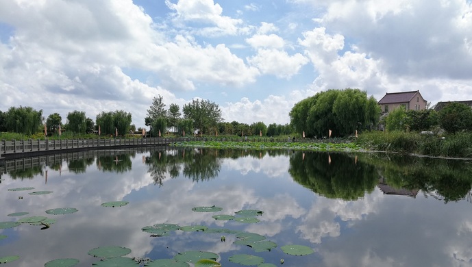 上海青浦区城市建设,上海市青浦区发展前途