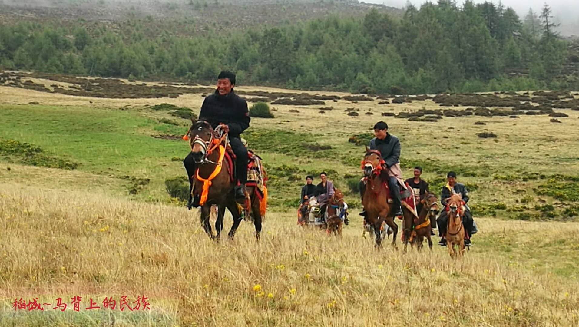 高原上奔跑是什么样的感觉,云顶草原骑马真实感受