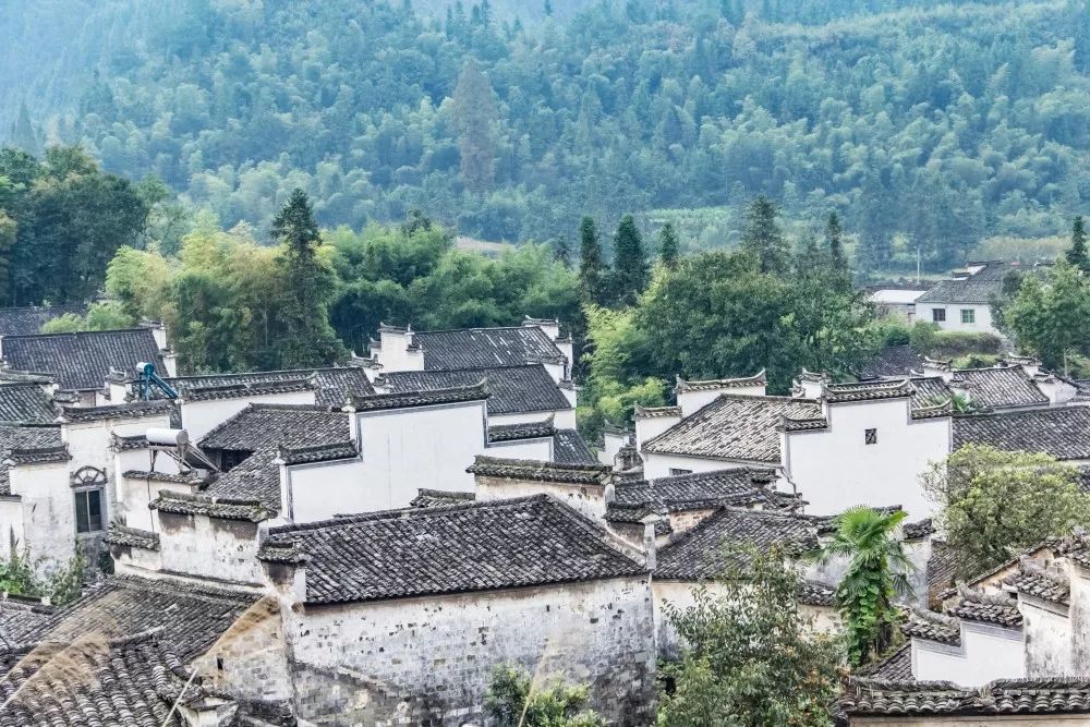 中国最便宜火车，票价仅售1元，至今不肯涨价，背后原因看哭....