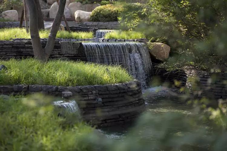 居住区植物景观设计原则,景观设计干货