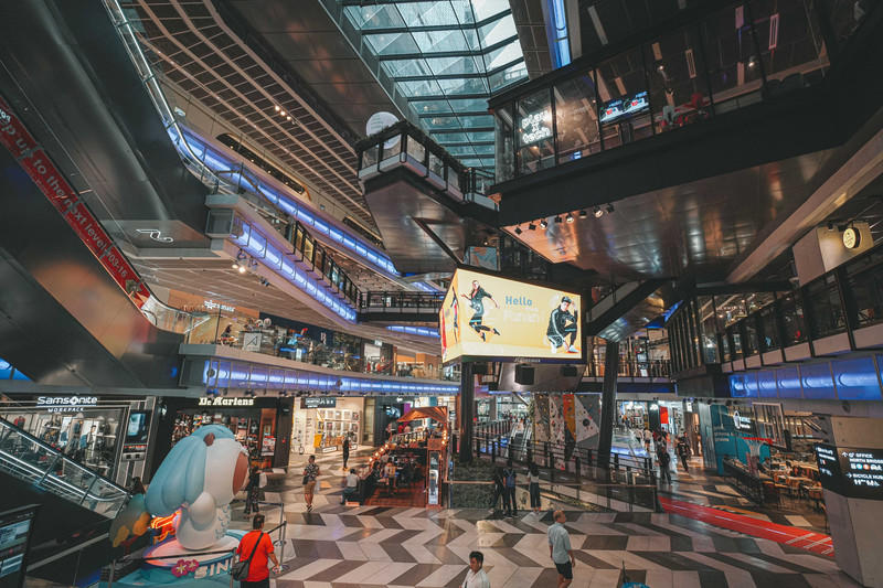 一人一猫环游,一人一猫旅行