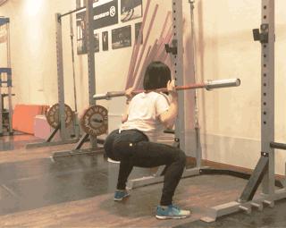 猪的智商体脂率,猪和狗的体脂率