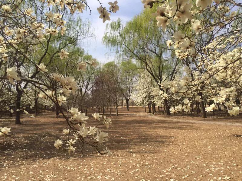 2022年世界手机摄影大赛征稿,手拍世界摄影网