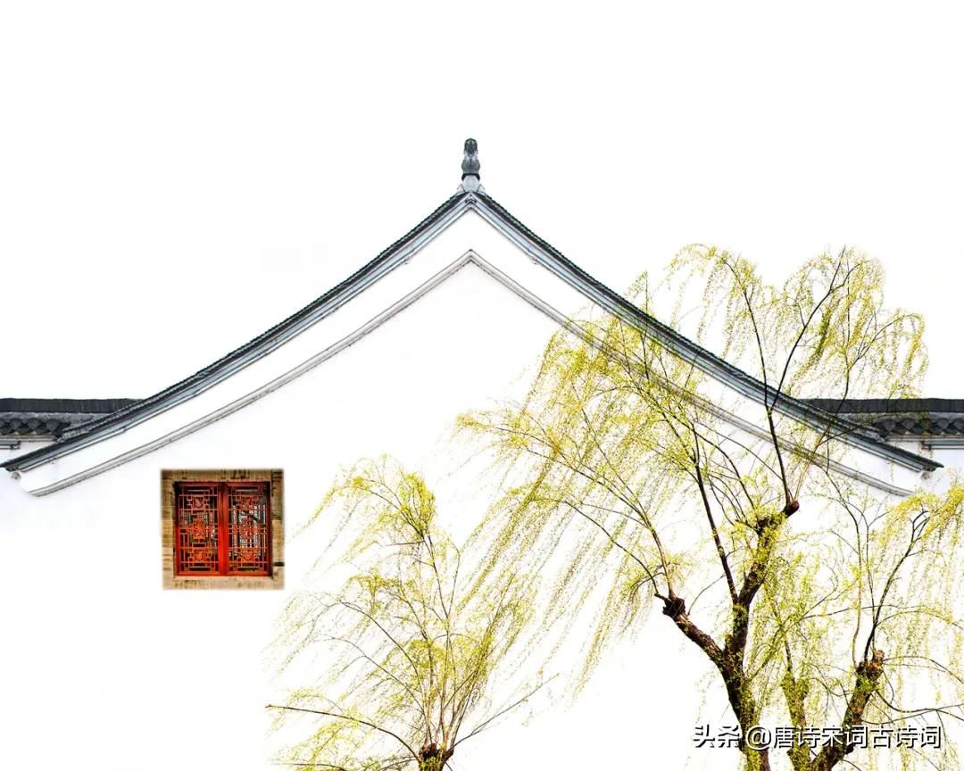 昨夜春风至堂前,昨夜春风花满枝