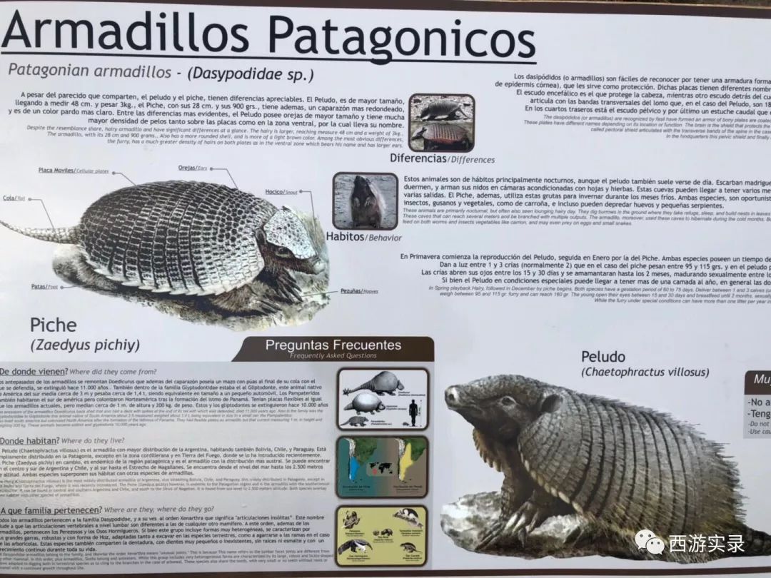 史上最牛沪C开到了世界尽头