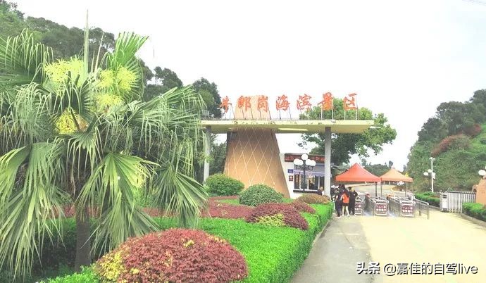 福鼎一日游学生攻略,福鼎两日自由行攻略