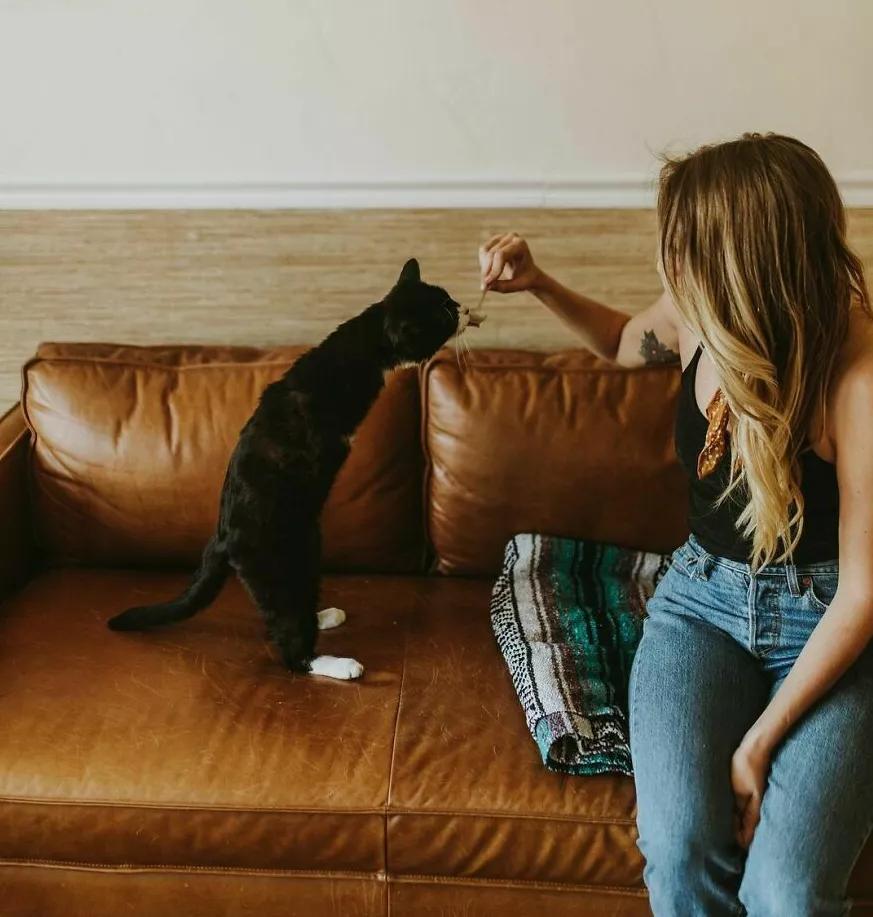 无法领养残疾猫,有些流浪猫不适合领养