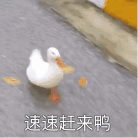 挖宝女装店铺推荐,淘宝挖宝好物