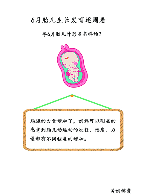 胎儿21周至23周的变化,胎儿21天的样子