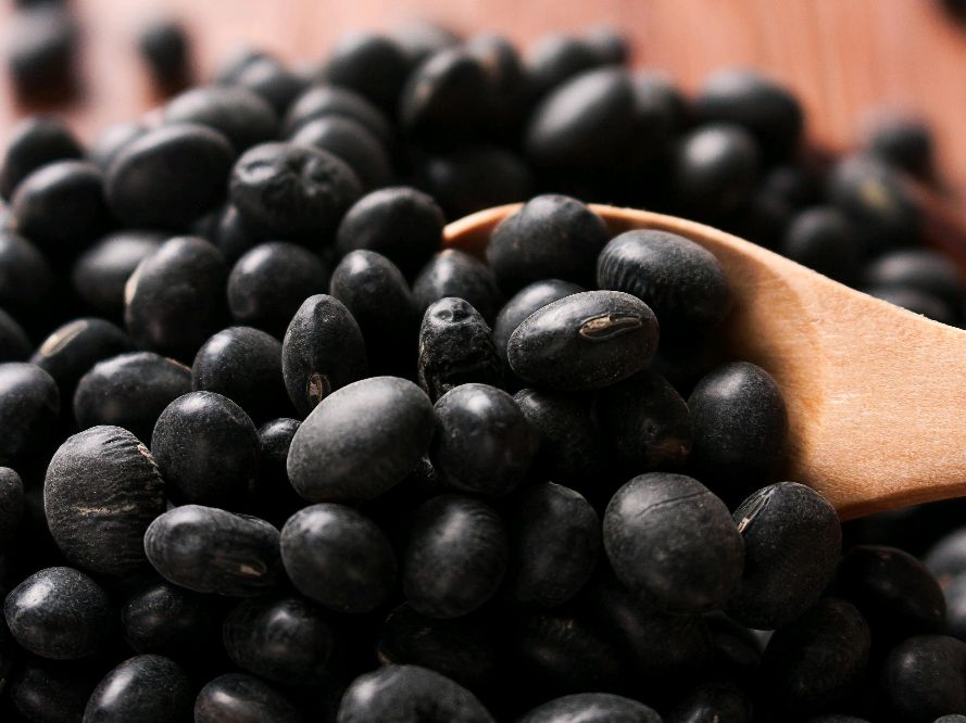 买黑豆,买黑豆选哪一种比较好