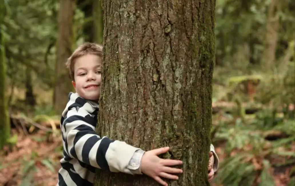 用绿色行动共建美丽家园ppt,用生态行动共建我们的绿色家园