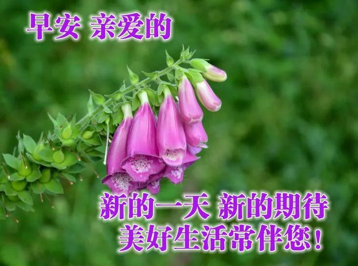 早安佛祖祝福带字美图,最新早安带字祝福图片