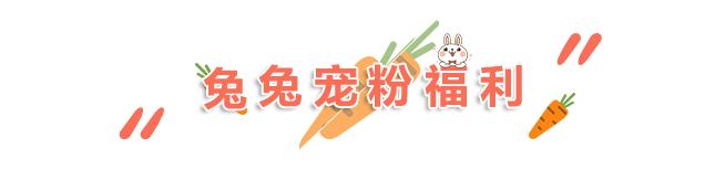 穿了就不想脱下的鞋子,穿上了就不想脱鞋子