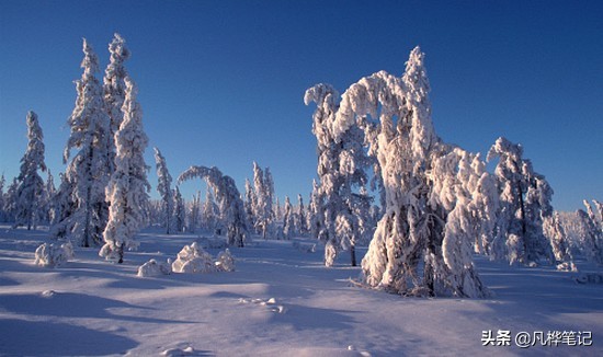 世界上最冷的地方在哪里你知道吗,世界最冷的地方是哪个城市