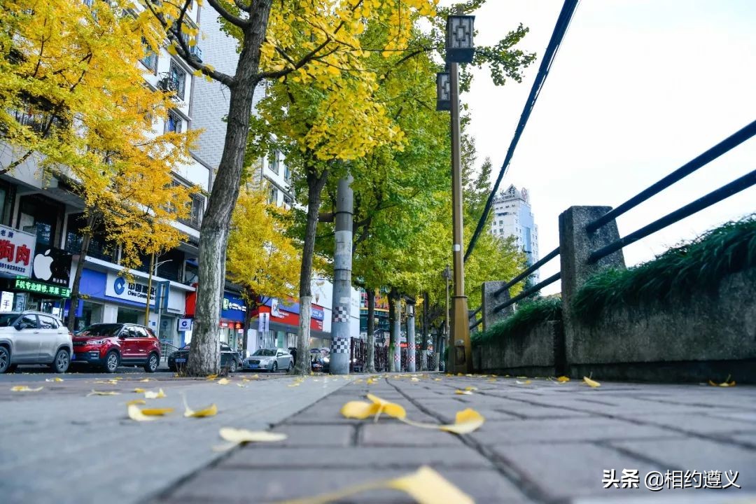 遵义一座来了就不想走的城市,醉美之城遵义太美了