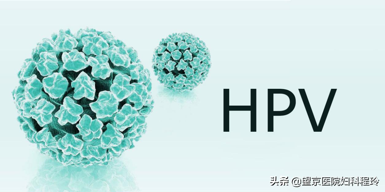 hpv感染跟感冒一样容易好吗,hpv44阳性会经常感冒吗