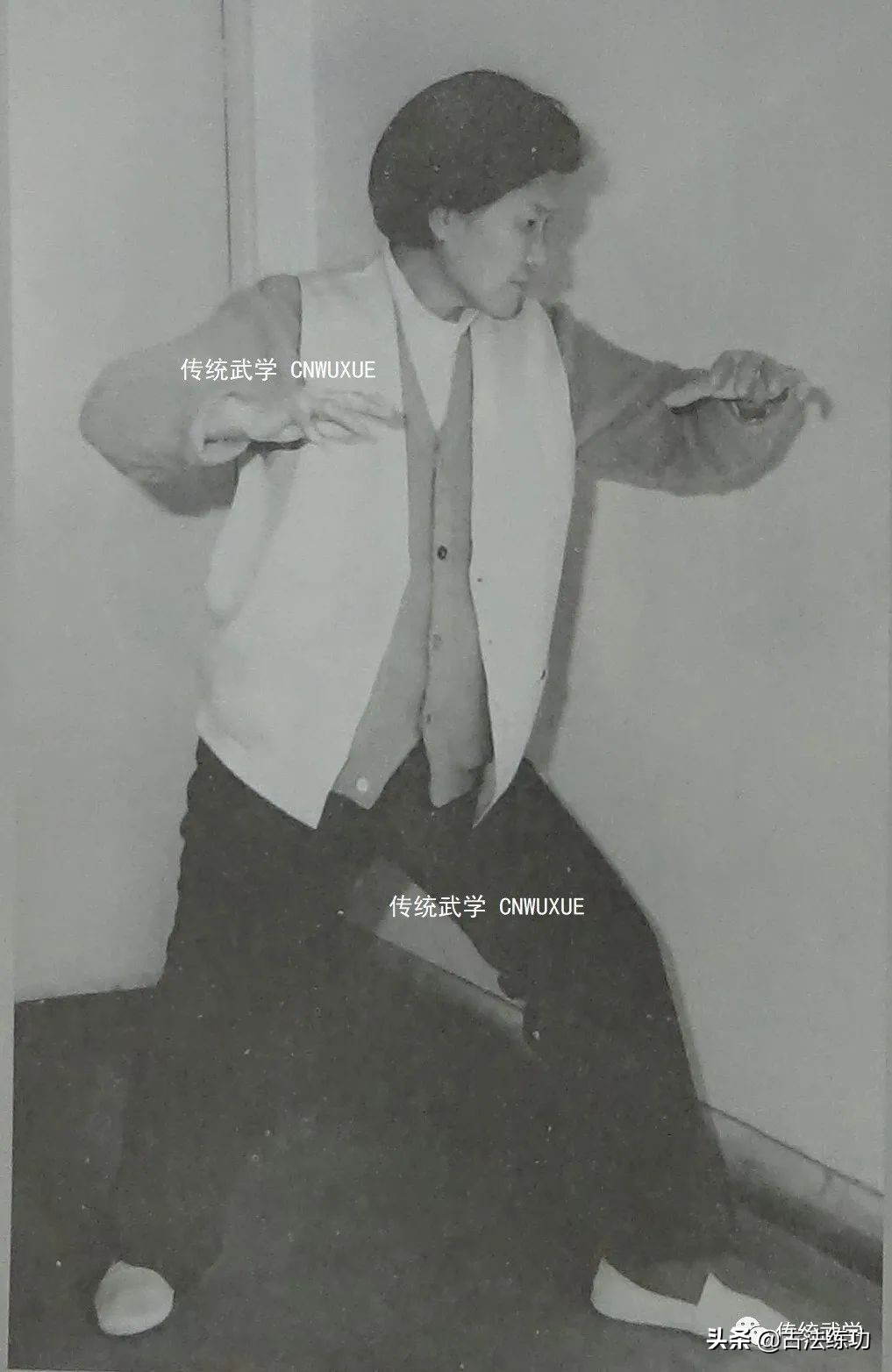 大成拳神龟出水有用吗,大成拳神龟出水视频