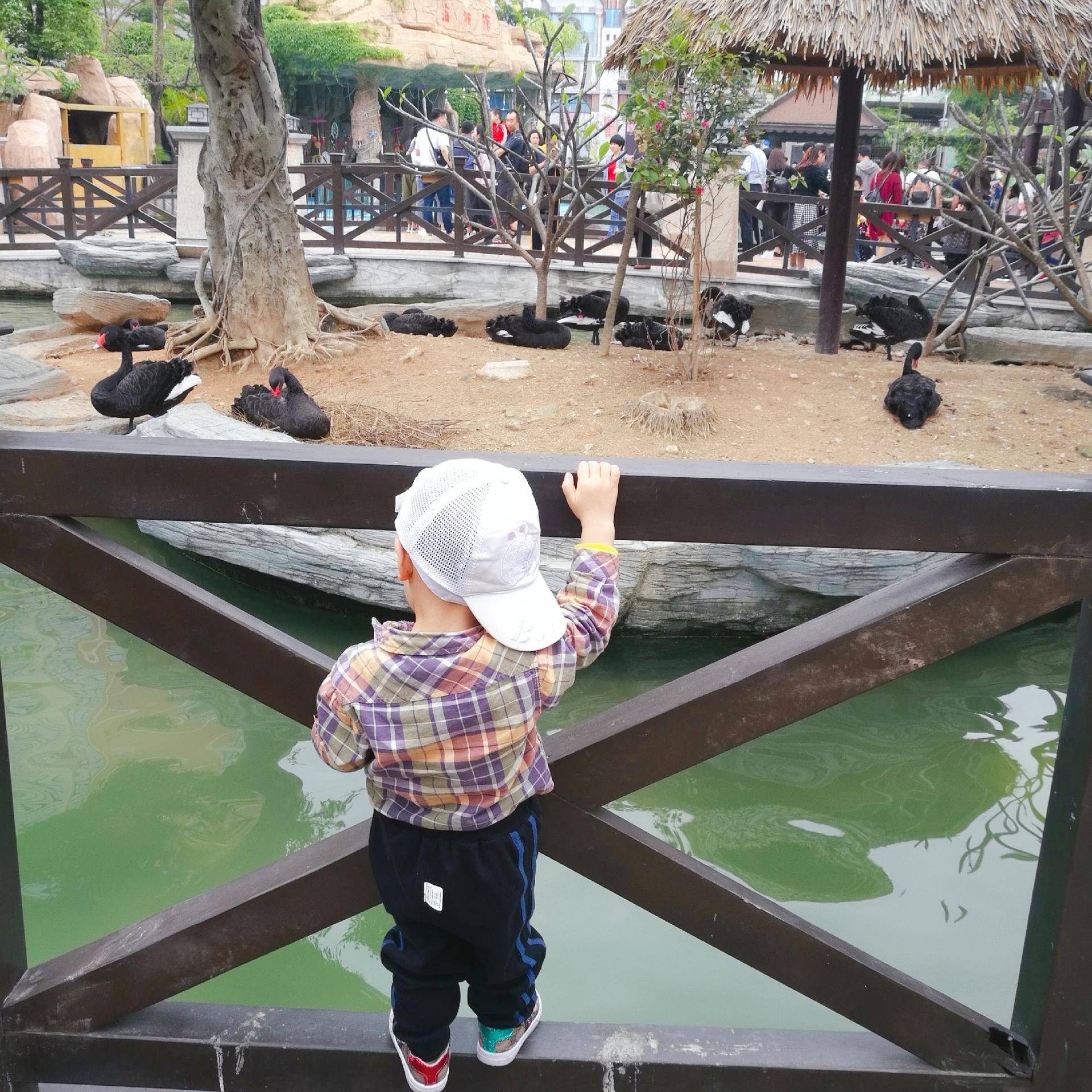 厦门灵玲动物王国游玩时间,五一去哪个动物园玩亲子一日游