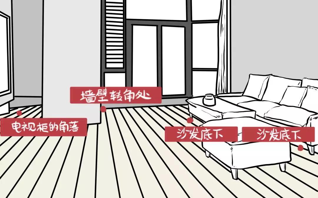 北方人第一次见到会飞的蟑螂,北方人第一次看到会飞的蟑螂反应