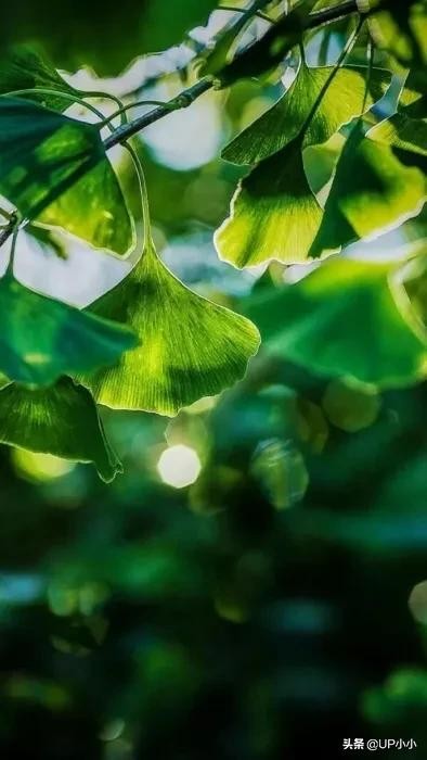 你怎样生活完全由你自己决定,生活状态怎么发朋友圈