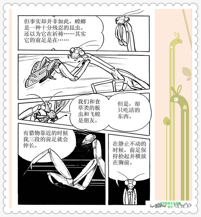 昆虫记法布尔动画片,昆虫记法布尔全套