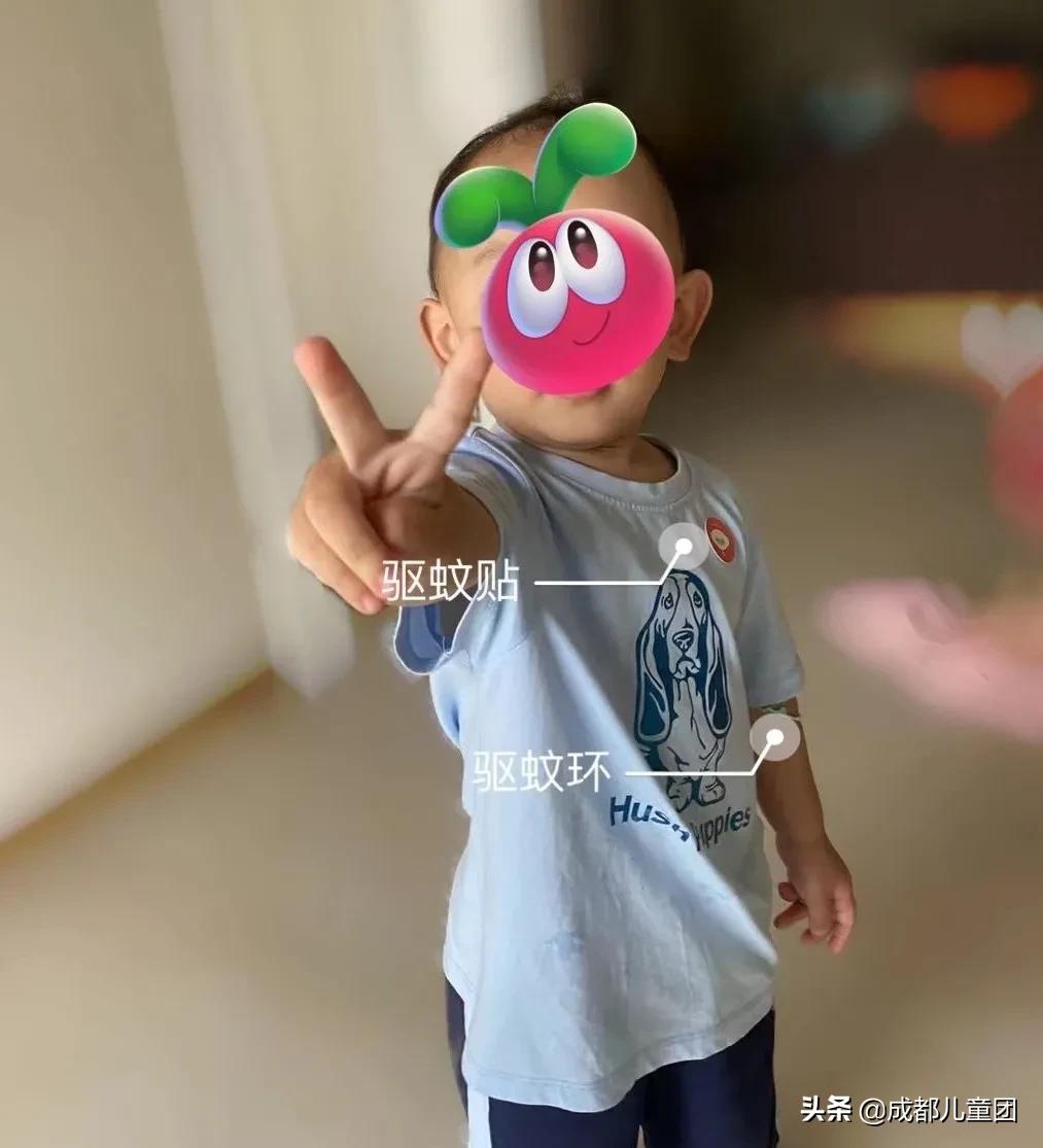 十大驱蚊神器必购清单,驱蚊神器亲身测试