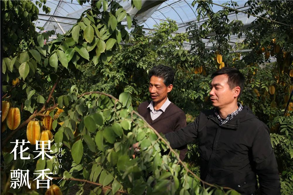 一位女村官的故事,一个农村姑娘的创业史