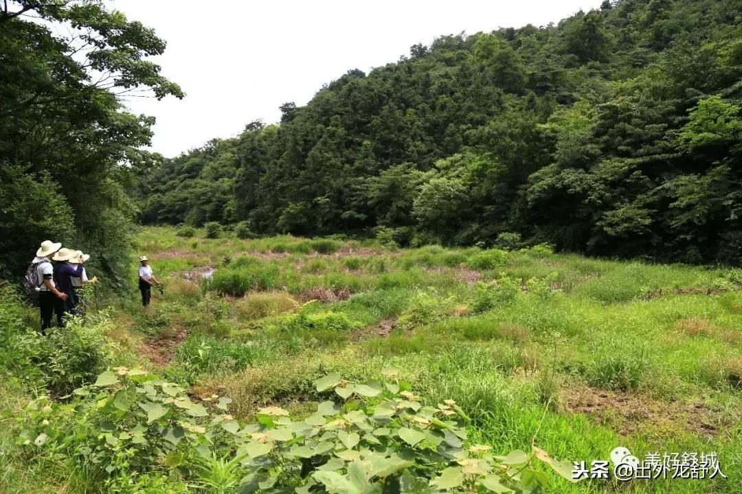 舒城县五显镇石关风景区,舒城石关风景游玩攻略