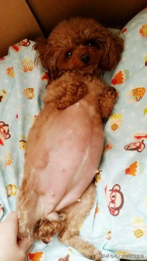 怎么为母乳喂养做准备,怎么为母亲办好后事