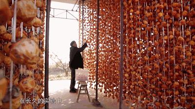 天然去雕饰的《水果传》,给你一场抵挡不住的水果饕餮