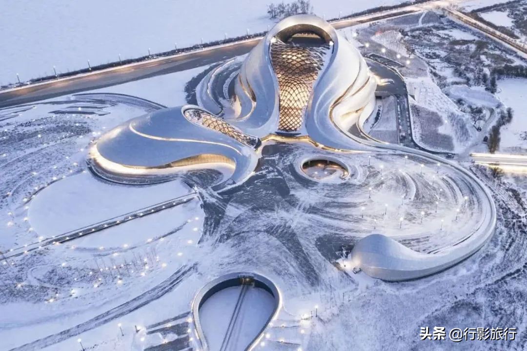 东北人是如何评价日本人的,作为东北人你怎么评价哈尔滨