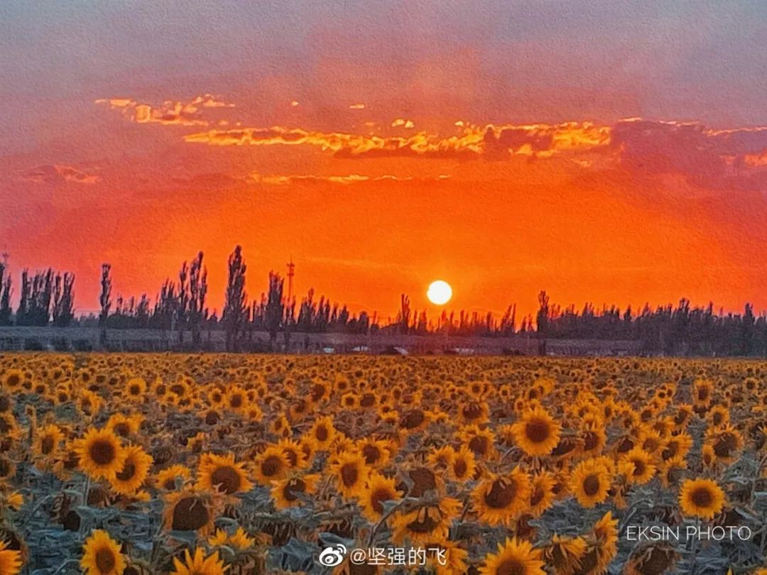 学党史绘党情主题绘画,学党史绘党情建党100周年书法