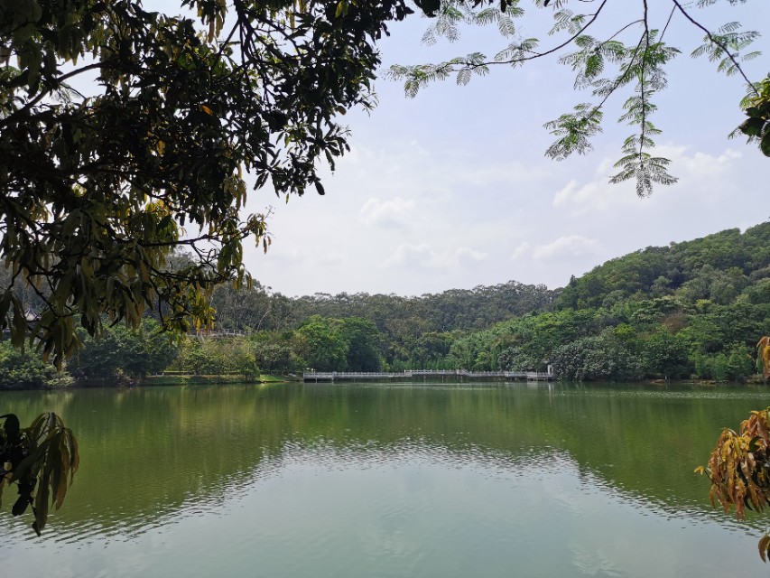 东莞长安周边一日游景点大全,东莞松山湖一日游最佳攻略