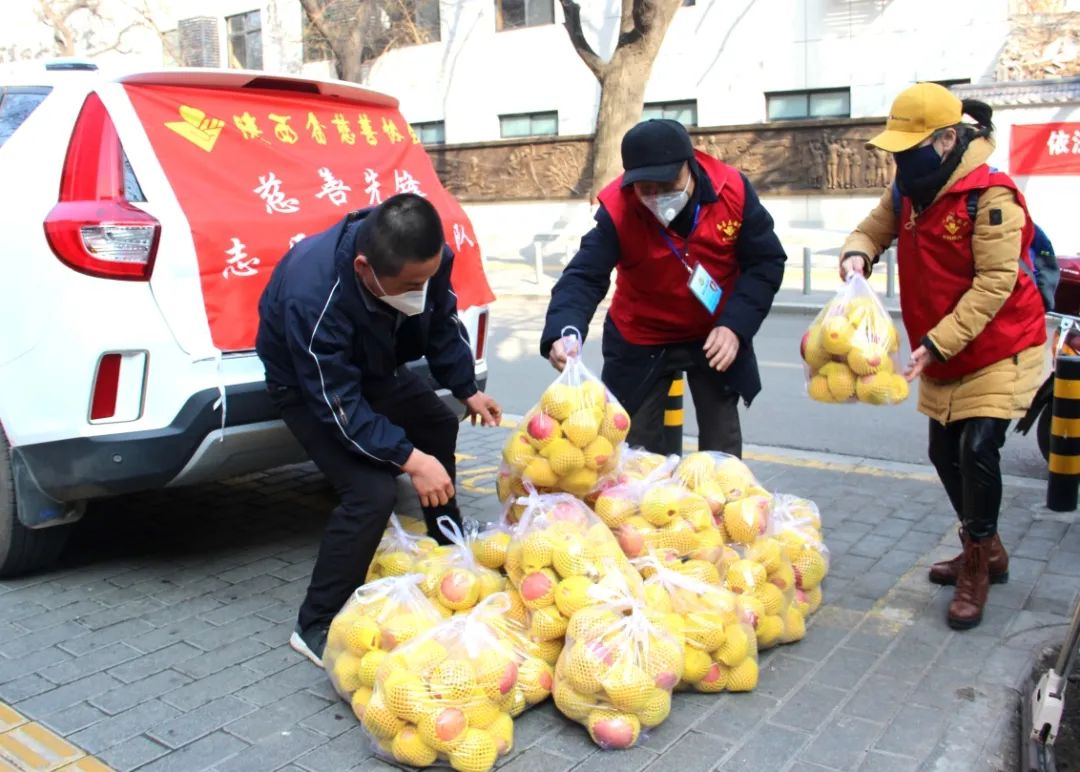 众志成城志愿者抗疫,抗击疫情陕西志愿者