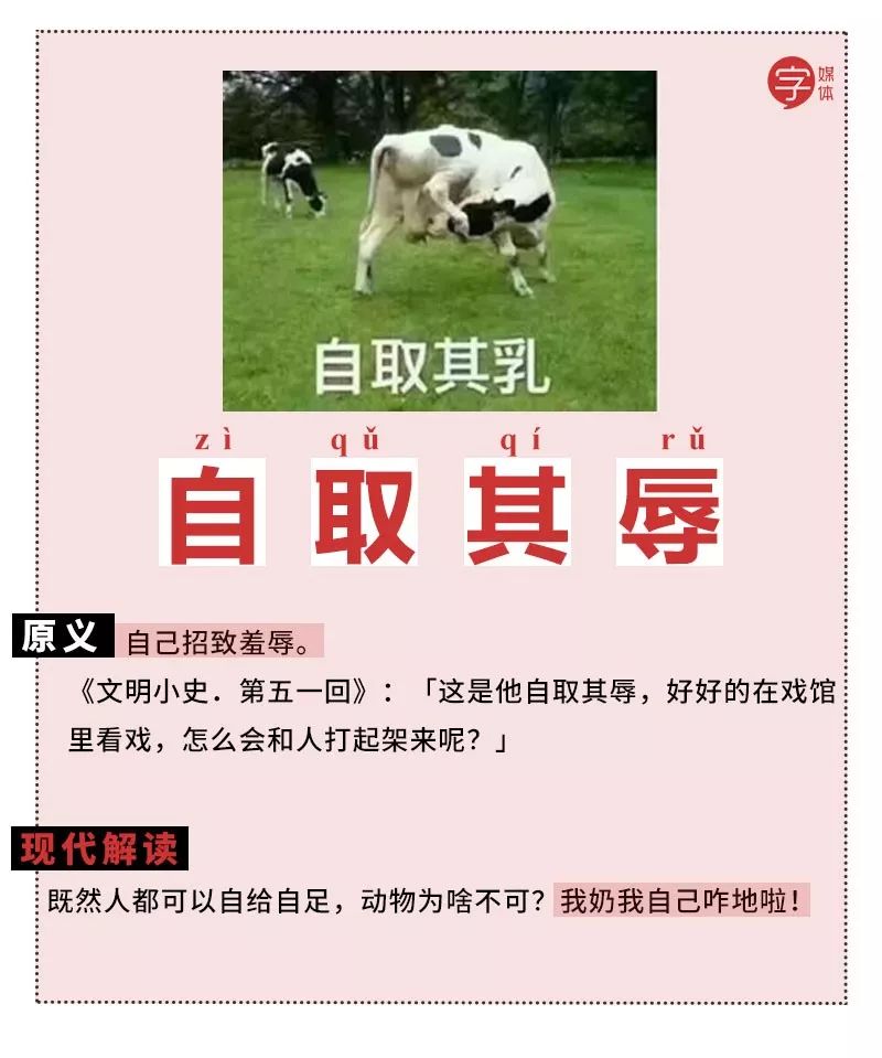 成语表情包照片,成语表情包动态图片